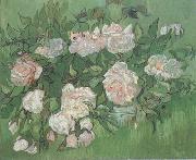Vincent Van Gogh Still life:Pink Roses (nn04) china oil painting artist